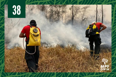Foto: CBM/RO Foto de brigadistas na mata durante incêndio