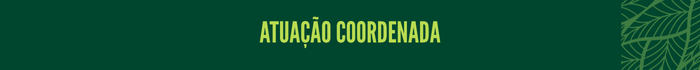 Atuação coordenada