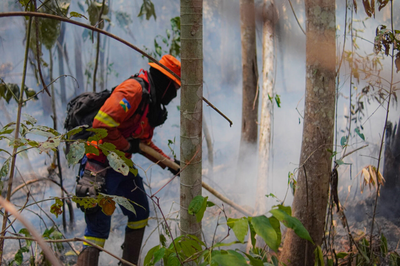 Foto de brigadista na mata