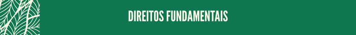 Direitos fundamentais
Direitos fundamentais