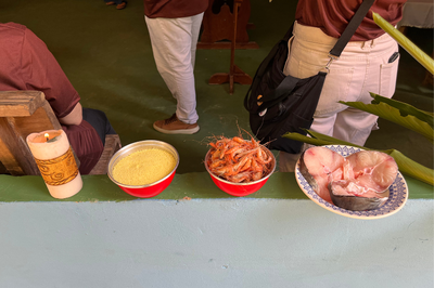 Foto mostra camarão, farinha, peixe