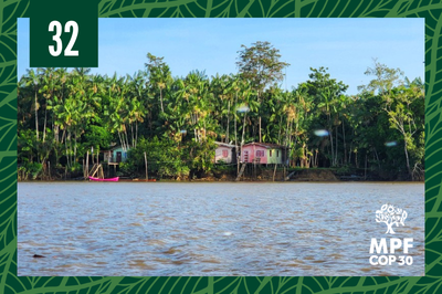 Foto mostra o PAE a partir da visão do rio, com casas de palafitas às margens 