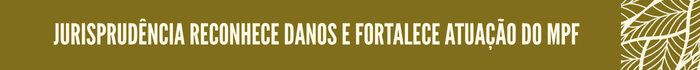 Jurisprudência reconhece danos e fortalece atuação do MPF

