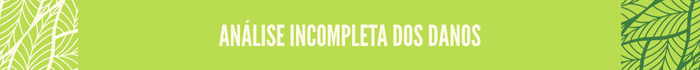 Análise incompleta dos danos

