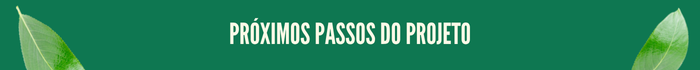 Próximos passos.png Próximos passos do projeto