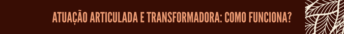 Atuação articulada e transformadora: como funciona?