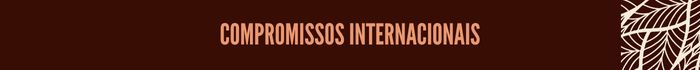 COMPROMISSOS INTERNACIONAIS