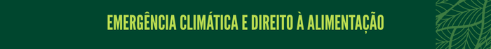Emergência climática e direito à alimentação
