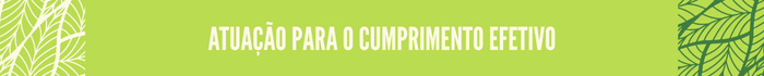 5.png Atuação para cumprimento efetivo