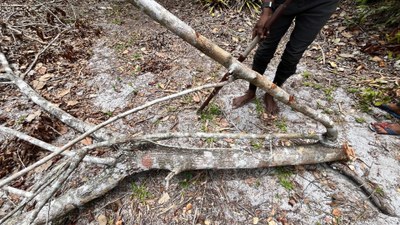 Visita Judicial Pankararu - Penedo