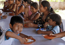 TRF1 determina a regularização do fornecimento de merenda a escola indígena Yanomami em Roraima — Procuradoria Regional da República da 1ª Região