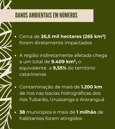 Cerca de 26,5 mil hectares (265 km²) foram diretamente impactados
A região indiretamente afetada chega a um total de 9.409 km², o equivalente  a 9,55% do território catarinense
Contaminação de mais de 1.200 km de rios nas bacias hidrográficas dos rios Tubarão, Urussanga e Araranguá
38 municípios e mais de 1 milhão de habitantes foram atingidos