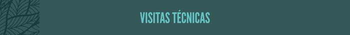 Visitas técnicas Visitas técnicas