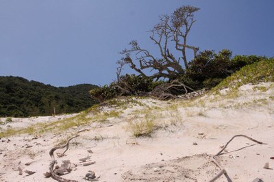 Litoral RJ Ilha do Farol, em Arraial do Cabo (RJ)/Foto: Thiago Freitas/Mtur/Flickr Mtur Destinos