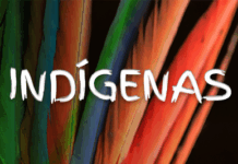 A pedido do MPF, TRF1 determina implementação de plano de proteção das Terras Indígenas Araribóia e Governador (MA) — Procuradoria Regional da República da 1ª Região