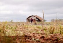 Ação do MPF busca responsabilizar estado do MS por violência policial em protesto indígena por água potável — Procuradoria da República em Mato Grosso do Sul