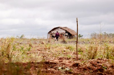 Área rural ocupada por indígenas nos arredores da reserva indígena de Dourados. Foto: Tânia Rêgo/Agência Brasil Foto mostra área rural ocupada por indígenas nos arredores da reserva indígena de Dourados, na imagem, uma casinha de palha ao fundo com uma mulher e uma criança andando em sua direção; em primeiro plano um galho fincado na terra seca no meio de um pasto