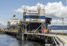 Após ação do MPF, empresa paga indenização de R$ 4,1 milhões por danos ambientais em Paranaguá (PR) — Procuradoria da República no Paraná