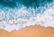 Após solicitação do MPF e do Município de Porto de Pedras, IMA inclui Praia de Lages no monitoramento da balneabilidade — Procuradoria da República em Alagoas