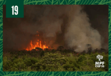 Atuação do MPF resulta na criação de comitê de crise para combater efeitos de secas e incêndios no Pará — Procuradoria-Geral da República