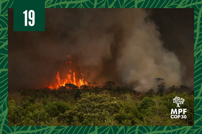 Foto Ilustrativa: Marcelo Camargo/Agência Brasil, com adaptações Foto da floresta amazônica em chamas