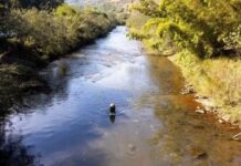 Comitê Estadual de Minas Gerais apresenta balanço de ações realizadas — MPF-MG de 1º grau