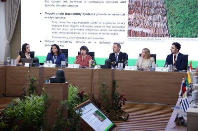 A imagem mostra um painel de discussão com seis pessoas (quatro mulheres e dois homens) sentadas lado a lado em uma longa mesa de conferência. Atrás delas, há uma tela de projeção exibindo texto sobre "Supply chain traceability systems" (sistemas de rastreabilidade da cadeia de suprimentos) e uma imagem de toras de madeira empilhadas. A frente da mesa está decorada com plantas. Bandeiras de vários países estão visíveis no lado direito. Há também um monitor inclinado no chão em primeiro plano.