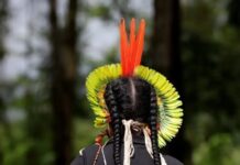 MPF, DPU e Funai divulgam novo edital de credenciamento de consultorias para diagnóstico de danos a comunidades indígenas em MG — MPF-MG de 1º grau