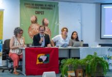 MPF aponta os avanços da Plataforma de Territórios Tradicionais em reunião do CNPCT — Procuradoria-Geral da República