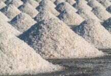 MPF apresenta denúncia relacionada à exploração de sal-gema em Maceió (AL) — Procuradoria da República em Alagoas