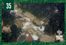 MPF articula iniciativas para proteção aos povos e comunidades tradicionais do sudoeste do Pará — Procuradoria-Geral da República