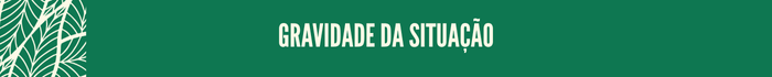 Gravidade da situação