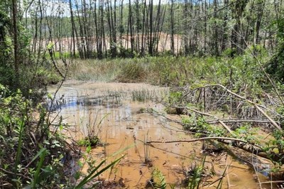 carvao1.jpg Foto de área contaminada pela atividade carbonífera