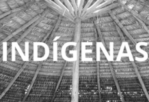 MPF e DPU garantem cumprimento de sentença e reconhecimento do poder de polícia da Funai em Alagoas — Procuradoria da República em Alagoas