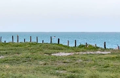 Imagem: Semam A imagem mostra uma área de vegetação rasteira à beira-mar. No primeiro plano, há gramíneas e pequenas manchas de areia, com uma fileira irregular de estacas de madeira dispostas verticalmente, formando uma cerca simples. Ao fundo, vê-se o mar calmo, de tonalidade azul-esverdeada, e o horizonte se estende sob um céu claro, de coloração azul pálido.