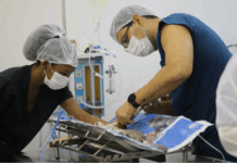 MPF firma acordo para regularização do Hospital Veterinário da UFS e a promoção da saúde única no campus São Cristóvão — Procuradoria da República em Sergipe