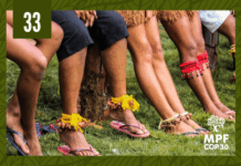 MPF fortalece a luta pela regularização fundiária de terras indígenas no sul da Bahia — Procuradoria-Geral da República