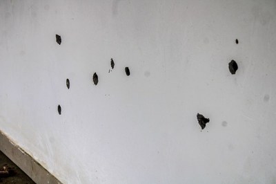 foto_tiros_funai.jpeg Marcas de balas permanecem na parede Foto: Funai