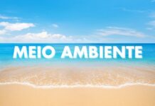 MPF garante maior proteção à APA Costa dos Corais em obras de contenção costeira — Procuradoria da República em Alagoas