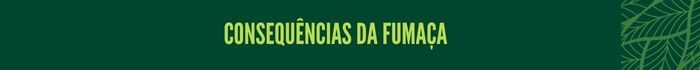 3.jpg Consequências da fumaça