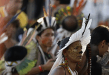 MPF garante reintegração de posse de área do povo Tupinambá em Ilhéus (BA) em decisão unânime do TRF1 — Procuradoria Regional da República da 1ª Região