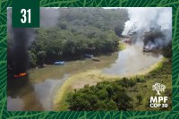 Foto: Polícia Federal, com adaptações COP30: MPF mira plataformas digitais para frear garimpo ilegal de ouro na Amazônia
