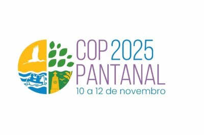 Arte: Design/Universidade Estadual do Mato Grosso Imagem com as palavras COP Pantanal 2025