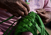 MPF quer que Balneário Camboriú (SC) ofereça abrigo adequado aos indígenas que vendem artesanato na cidade — Procuradoria da República em Santa Catarina