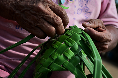 Foto ilustrativa: Canva Foto em close-up de mãos enrugadas tecendo um cesto ou objeto de artesanato indígena usando fibras verdes.