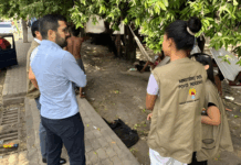 MPF vistoria acampamentos indígenas e identifica situação de vulnerabilidade de famílias Yanomami em Boa Vista (RR) — Procuradoria da República em Roraima