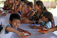 Foto ilustrativa: Governo de São Paulo TRF1 determina a regularização do fornecimento de merenda a escola indígena Yanomami em Roraima