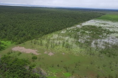 Foto aérea de reserva biológica no Amapá