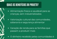 alimentos indígenas e tradicionais na alimentação escolar melhoram saúde e renda das comunidades — Procuradoria-Geral da República