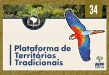 ferramenta digital busca garantir direito territorial dos povos tradicionais no Brasil — Procuradoria-Geral da República